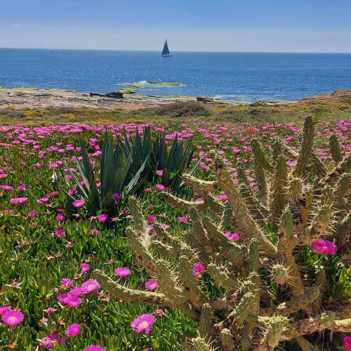 Maravillosa Terraza Con Vistas Al Mar, La Mata Torrevieja Zewnętrze zdjęcie