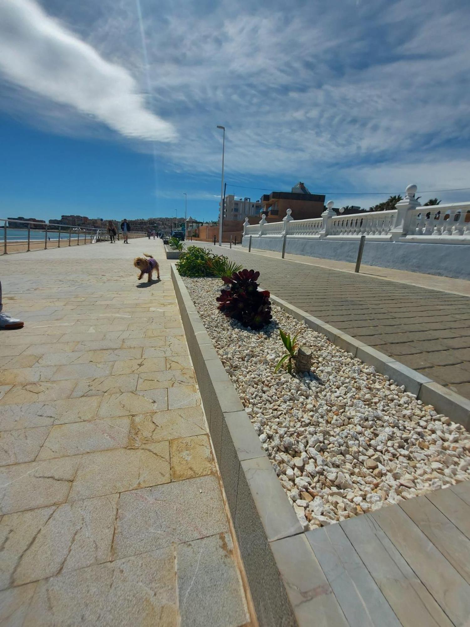 Maravillosa Terraza Con Vistas Al Mar, La Mata Torrevieja Zewnętrze zdjęcie