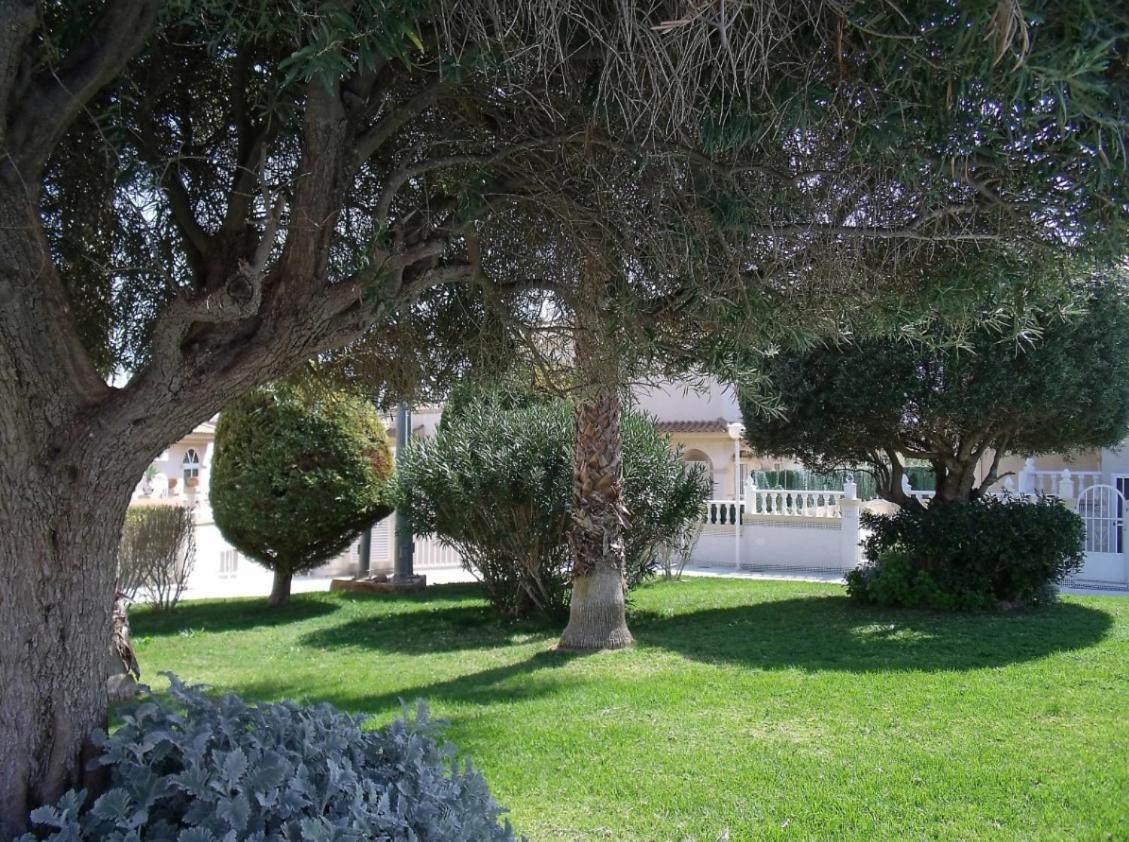 Maravillosa Terraza Con Vistas Al Mar, La Mata Torrevieja Zewnętrze zdjęcie